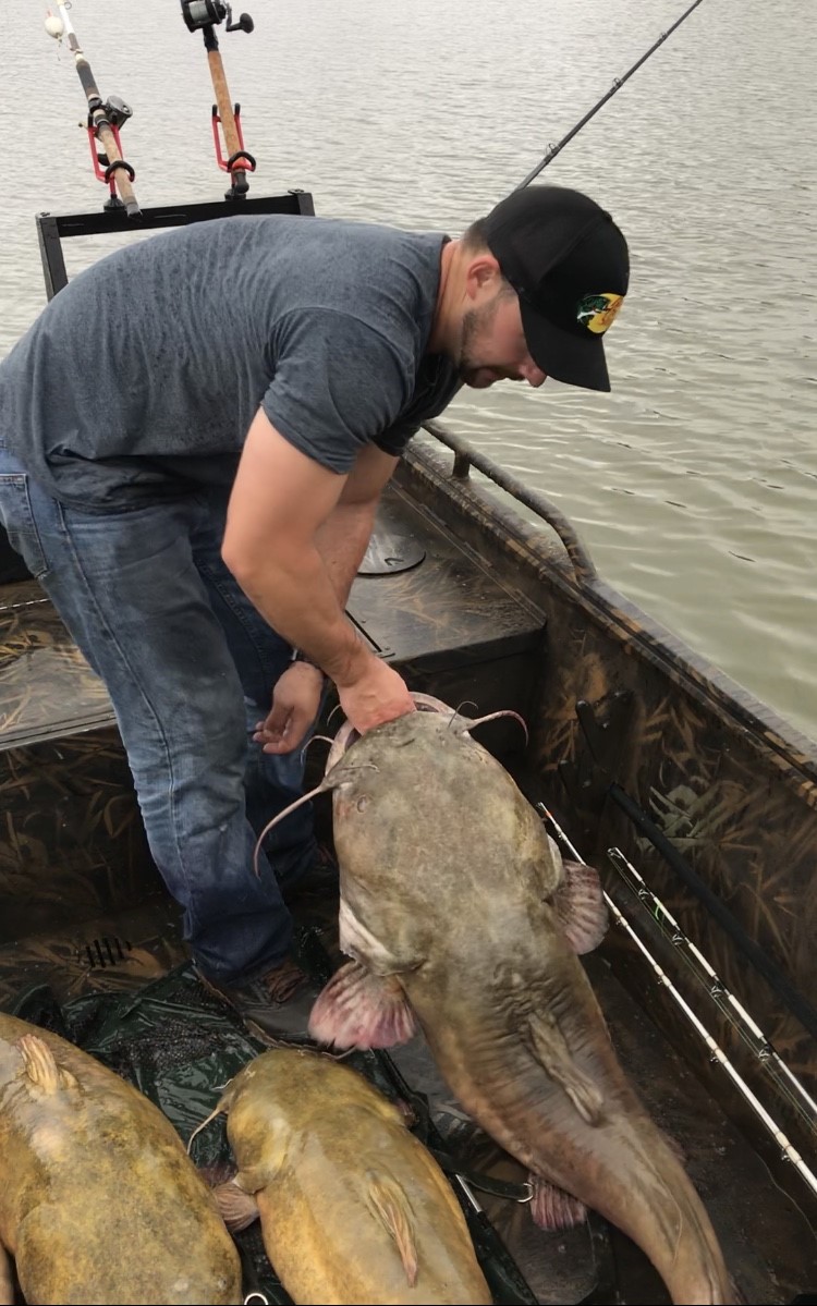 50.7 pound flathead catfish